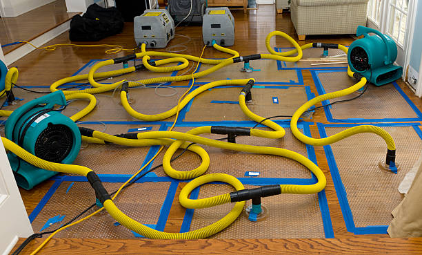 Professional Burst Pipe Water Damage technician working in Spring City, TN